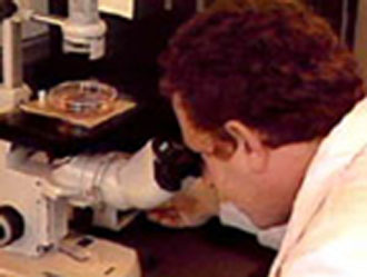 Εναλλακτική μέθοδος παραγωγής πολυδύναμων κυττάρων -αντί πειραμάτων με έβρυα