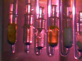 Προς παραπομπή η Ελλάδα για τα γενετικά τροποποιημένα