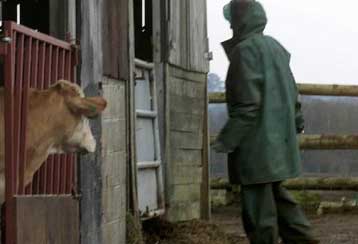 Απορρίπτει η Κομισιόν την πρόταση για τον εμβολιασμό των ζώων