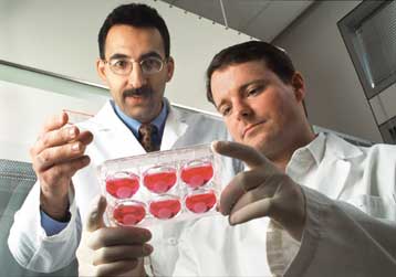 Λιπώδης ιστός μετατρέπεται σε χόνδρο για την αντιμετώπιση τραυμάτων