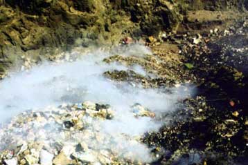 Ξεκίνησε η λειτουργία της δεματοποίησης των απορριμμάτων