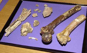 Ανθρωποφάγοι οι αρχαίοι κάτοικοι της Βρετανίας;