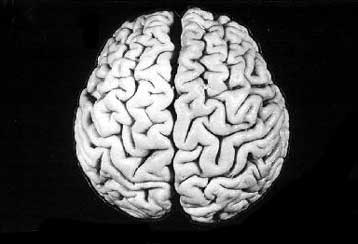 Τεχνική απεικόνισης αποκαλύπτει τα κέντρα της αίσθησης του χρόνου