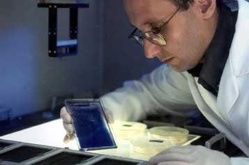 Γονιδιακή θεραπεία προλαμβάνει το σχηματισμό όγκων σε ποντίκια