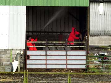 Έχουν εξαχθεί πιθανώς άρρωστα ζώα, παραδέχεται η βρετανική κυβέρνηση