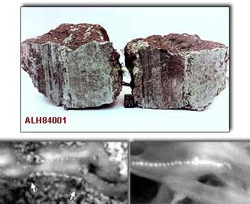 Νέες ενδείξεις για την ύπαρξη μικροοργανισμών μέσα σε μετεωρίτη