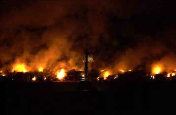 Στην πυρά τα «άρρωστα χοιρινά» – Ανησυχία και στη Δανία