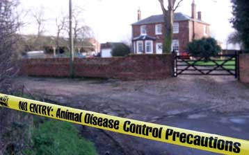 Τα κρεοπωλεία έκλεισαν και οι καταναλωτές προσπαθούν να εξασφαλίσουν αποθέματα