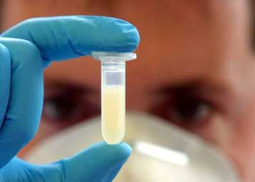 Επιθηλιακός ιστός μετατρέπεται σε βλαστικά και μυϊκά κύτταρα