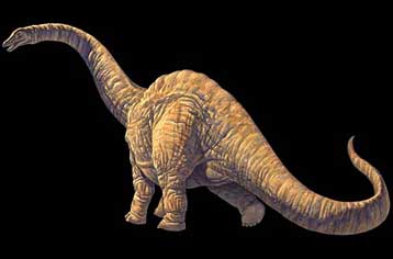 Σπόνδυλοι ενός μέτρου βρέθηκαν στην Αργεντινή