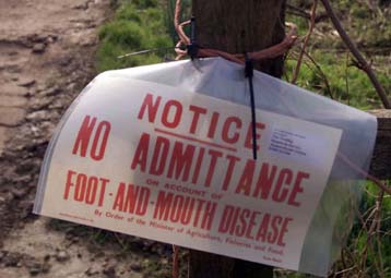 Εντοπίστηκε τρίτο κρούσμα άρρωστου ζώου