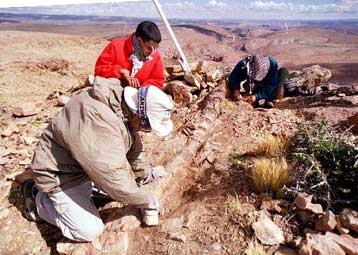 Νέα στοιχεία για τη ζωή των δεινοσαύρων