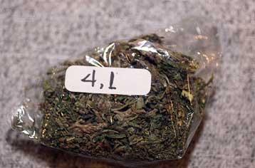 Ικανοποιητική η εθνική πολιτική για την καταπολέμησή τους