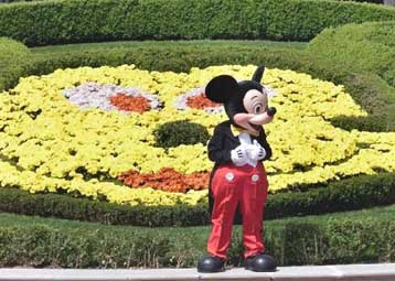 Η Disney αποκάλυψε την τύχη των υπηρεσιών της πύλης