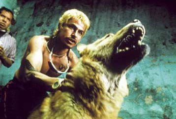 Η ταινία Amores Perros κινδυνεύει να απαγορευτεί στη Βρετανία