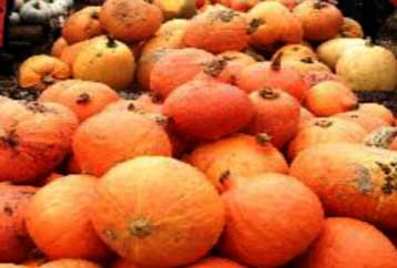 Πρωτότυπη διαμαρτυρία οικολόγων στο υπουργείο Πολιτισμού