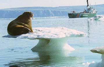 Πλημμύρες, ξηρασία και ανεπάρκεια φυσικών πόρων προβλέπει έκθεση του ΟΗΕ