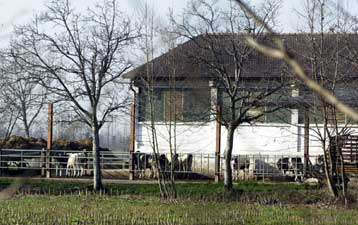 Εντοπίστηκε το δεύτερο κρούσμα στην Ιταλία