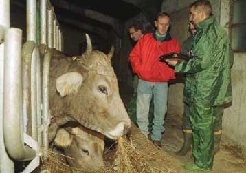 Η νόσος δεν μεταδίδεται σε πρόβατα και κατσίκια, εκτιμά η Κτηνιατρική Επιτροπή