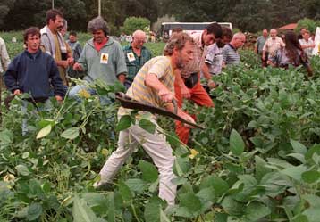 Θεσπίζονται αυστηροί κανόνες για τον έλεγχό τους