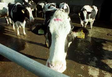 Εγκρίθηκε από το ECOFIN η σχετική πρόταση της Κομισιόν