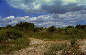 Μέθυσα και βρέθηκα κατά λάθος στην Ελλάδα, δηλώνει