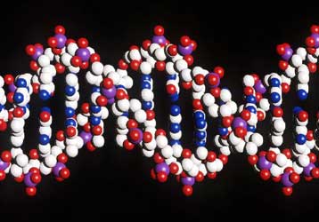 Στο φως περισσότερες λεπτομέρειες του ανθρώπινου γονιδιώματος