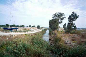 Οικολόγοι κατά του κωπηλατοδρομίου στο Σχοινιά