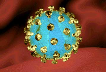 Εντοπίστηκε νέο στέλεχος του HIV – Μολυσμένος ένας στους δέκα ομοφυλόφιλους σε μεγαλουπόλεις των ΗΠΑ