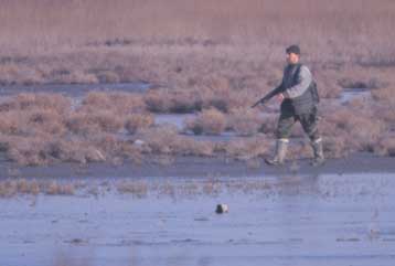 Χωρίς αποτέλεσμα οι έρευνες για τον εντοπισμό των δύο κυνηγών που χάθηκαν στη Φλώρινα