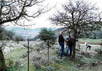 Δεν υπάρχει κίνδυνος για τη δημόσια υγεία από τα ραδιενεργά υλικά που βρέθηκαν στο Ασβεστοχώρι