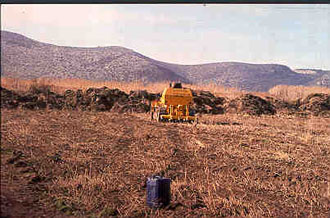 Έντονη η αντίδραση οικολογικών οργανώσεων για την έναρξη έργων στο Σχινιά του Μαραθώνα