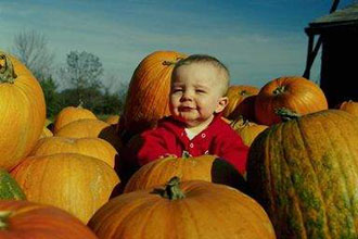 Η ρύπανση επιδρά στο δείκτη νοημοσύνης των παιδιών