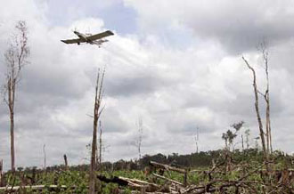 Παραπομπή Ελλάδας για βιοκτόνα από ΕΕ