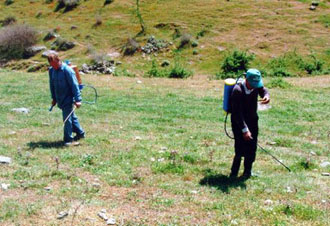 ΕΕ: Κατά παράβαση τωv κοινοτικών οδηγιών οι αερoψεκασμoί στην Κέρκυρα