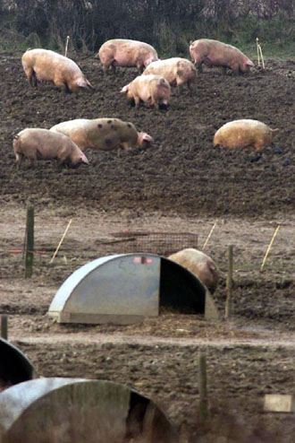 Νέο εμπάργκο για τα βρετανικά κρέατα