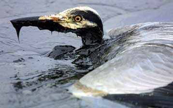 Μεγάλη κινητοποίηση των Αρχών της Δανίας για τον περιορισμό της μόλυνσης