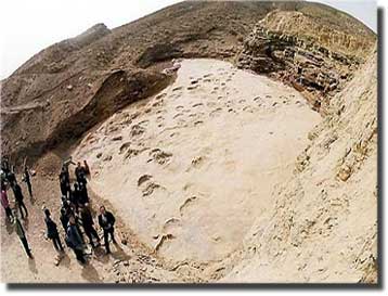 Βρέθηκαν οι μεγαλύτερες πατημασιές δεινοσαύρων στην Κίνα