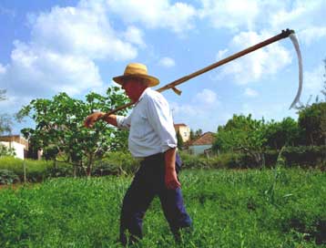 Περίπου 1,3 εκατ. αλλοδαποί είναι απαραίτητοι στην αγροτική παραγωγή