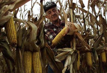 Νέοι κανονισμοί για την εμπορία γενετικά τροποποιημένων προϊόντων