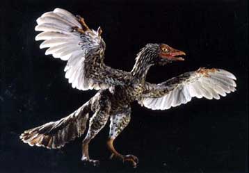 Ερευνητές εξηγούν πώς κατασκευάστηκε διάσημο απολίθωμα