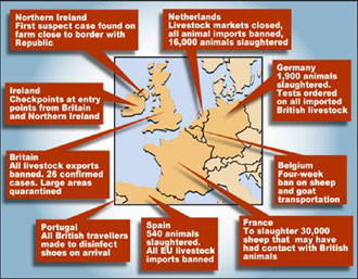 Η Κομισιόν αποκλείει το μαζικό εμβολιασμό ζώων-Αφθώδης πυρετός και στη Βόρεια Ιρλανδία