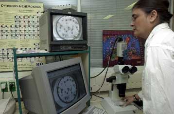 Η ακαδημαϊκή κοινότητα των ΗΠΑ  υποστηρίζει τη χρήση εμβρυϊκών κυττάρων