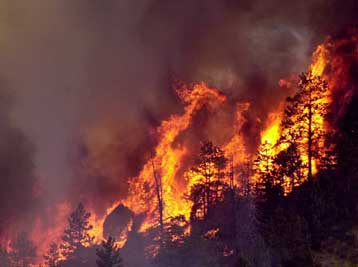 Σε εξέλιξη πυρκαγιές σε δασικές εκτάσεις στη Νεμέα και τις Ροβιές