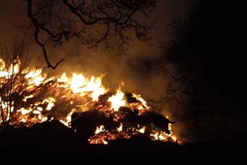 Διαστάσεις μεγαλύτερες από την επιδημία του 1967 λαμβάνει η ασθένεια στη Βρετανία