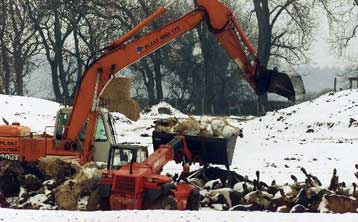 «Ύποπτα» ζώα σε Ιταλία και Γερμανία