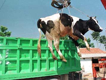 H επιδημία είναι πλέον εκτός ελέγχου – Κρίσιμος μήνας ο Μάιος