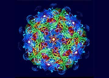 Υβριδικός ιός διευκολύνει την ασφαλή μεταφορά γονιδίων στα κύτταρα