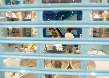 Εγκαινιάζεται ταυτόχρονα με την έναρξη λειτουργίας του αεροδρομίου