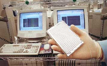 Χαμηλές δαπάνες, αυξανόμενη απασχόληση στον τομέα της Νέας Οικονομίας